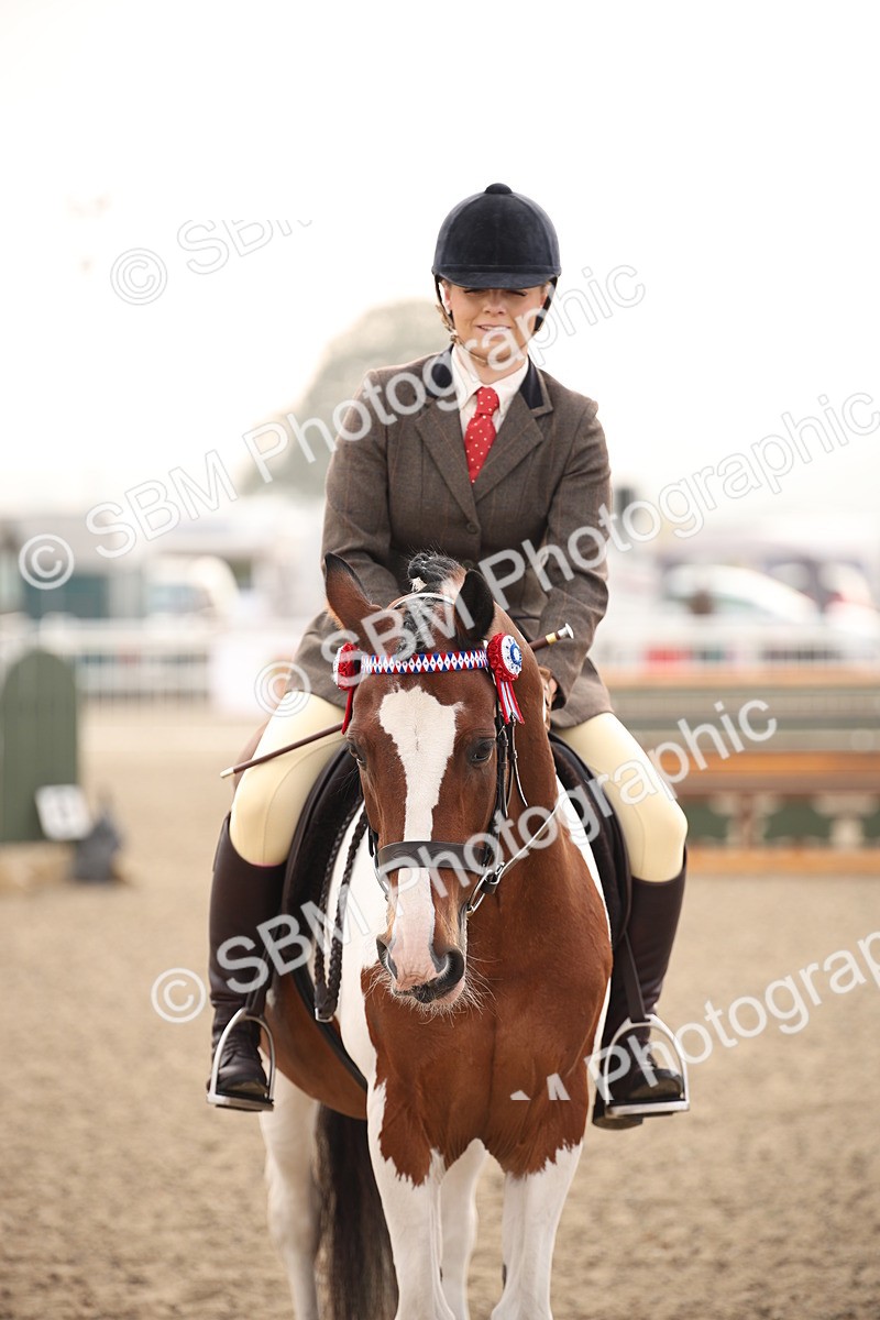 SBM_09727 - Class 401 Riding Club Pony