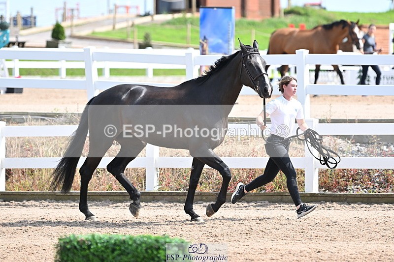 240717A-153957-02960 - Trot Up 3pm to 4pm