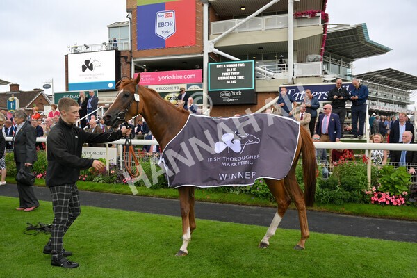 yr18082021r6-49 - Race 6 4.45pm IRE-Incentive It Pays To Buy Irish Stakes