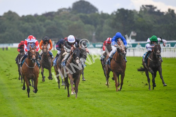 150723-Race 1-Blue For You-0061 - Race 1 2.00pm John Smith's Racing Handicap
