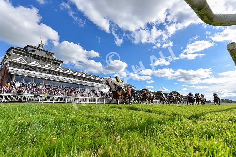 160624-Race 5-American Affair-2 - Race 5