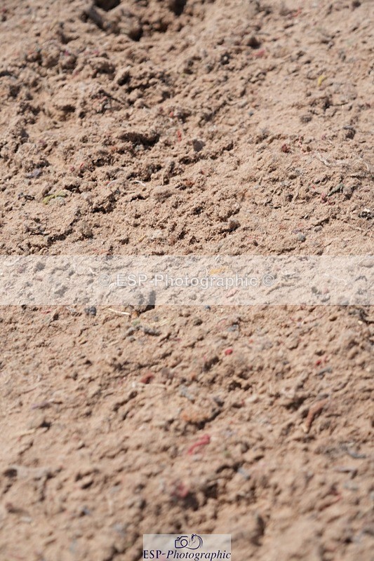 250712-125134-00965 - Cls 3 Medium Pony Team