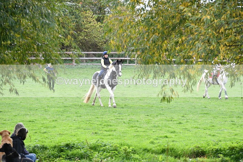 WJ5_0961 - Time 14:29 to 15:31