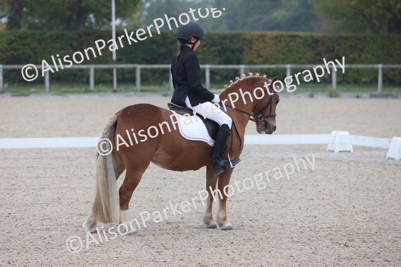 20251012-0090 - Class 1 - Prelim 5