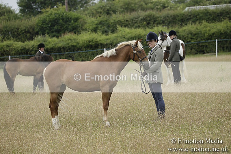 B230619-0056 - Bourne Valley Riding Club Summer Show 23/06/19