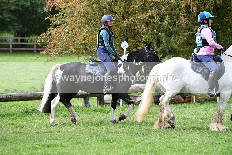 WJ5_9994 - Time 13:25 to 13:58