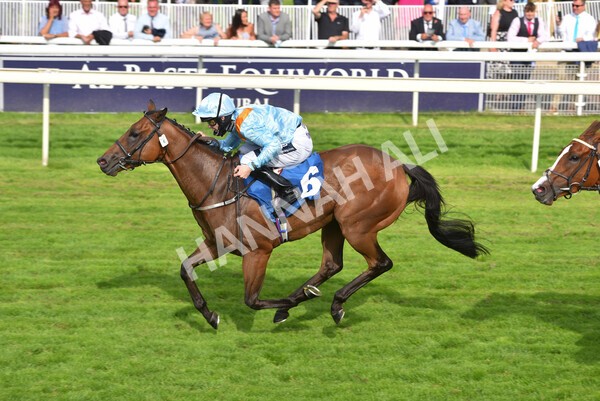 yr09072021r7-24 - Race 7 5.30pm William Hill Extra Place Races Stakes