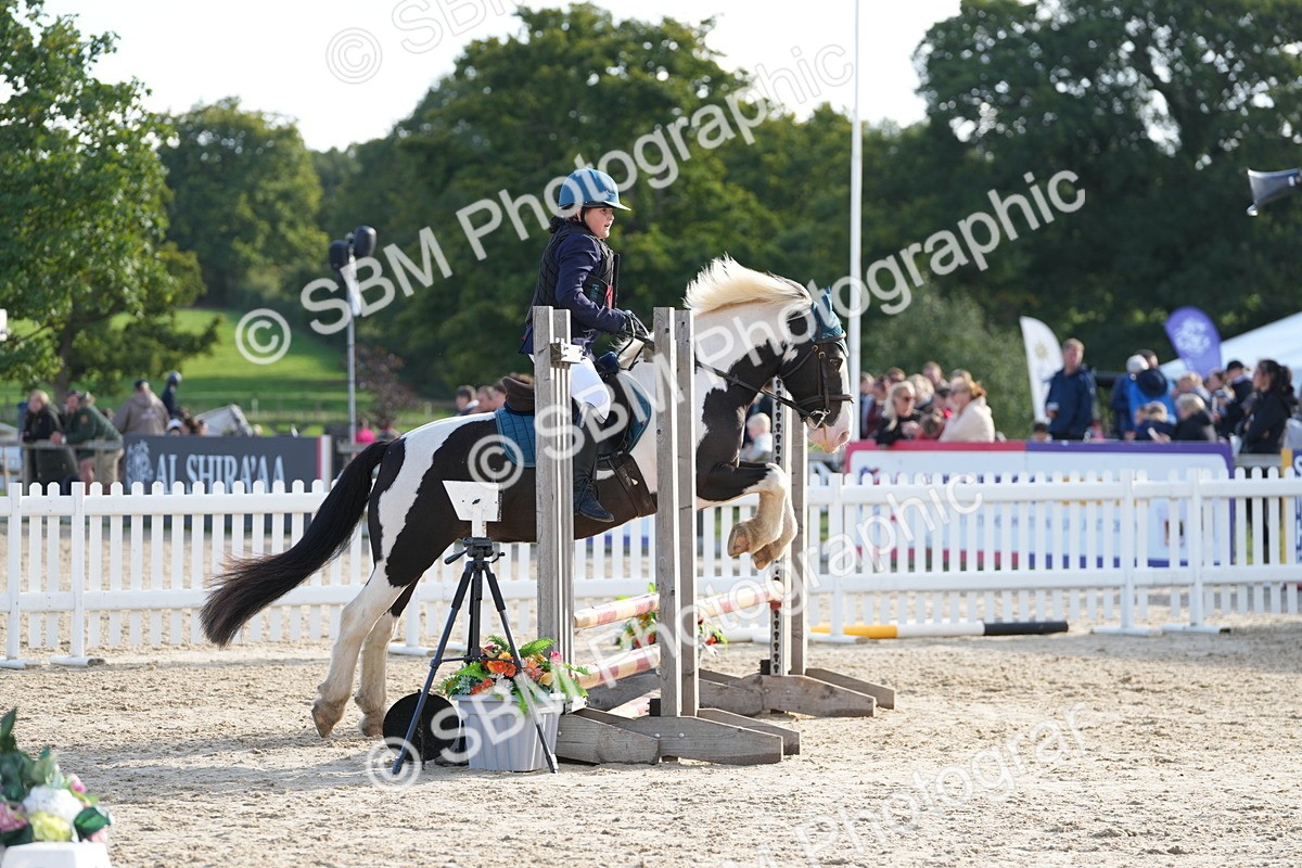 SBM_51040 - J8 - Junior Pony 65cm Championship