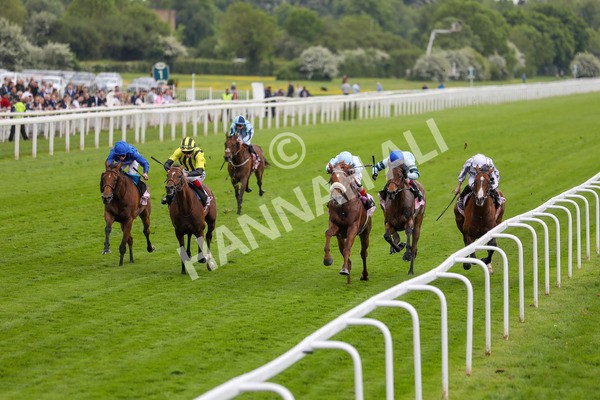 190523-Race 4-Giavellotto-7769 - Race 4 3.35pm Boodles Yorkshire Cup Stakes
