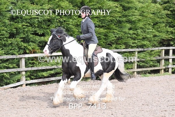 BPP_7413 - RING 1  (RIDDEN HORSES / IN HAND / VETERAN ETC)