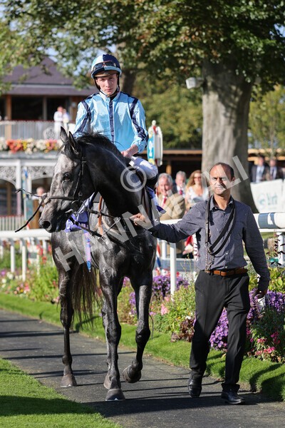 yr08102021r3-40 - Race 3 3.15pm Download The Casumo App Today Handicap
