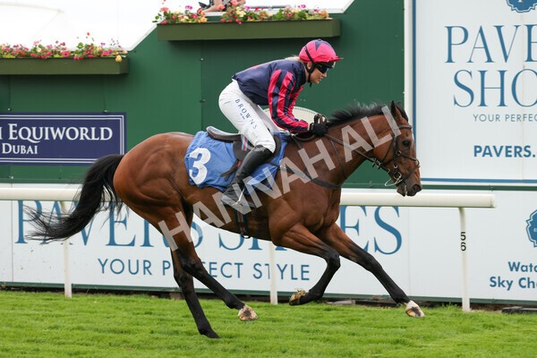yr11062022r1-165 - Race 1 12.45pm Macmillan Ride of Their Lives, supported by Sky Bet