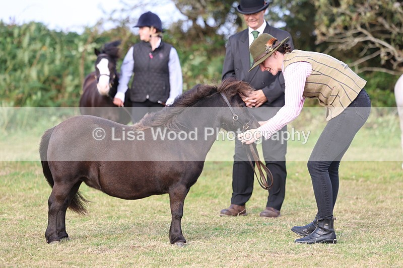 3E7A3266 - Class 12: M & M Small Breeds