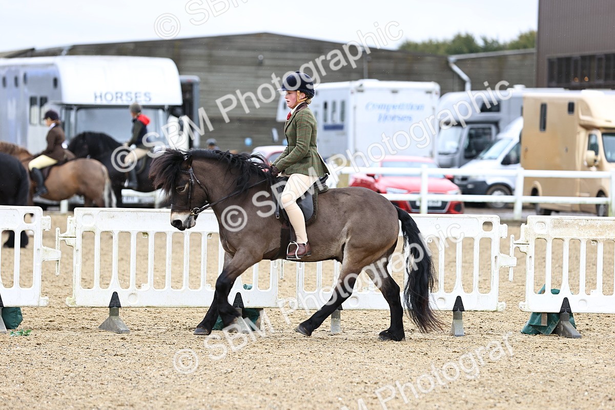 SBM_006836 - Class 29 - 30 - M&M Pure Novice Small-Large Breeds