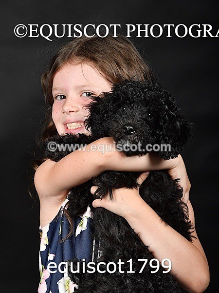 equiscot1799 - BONNIE