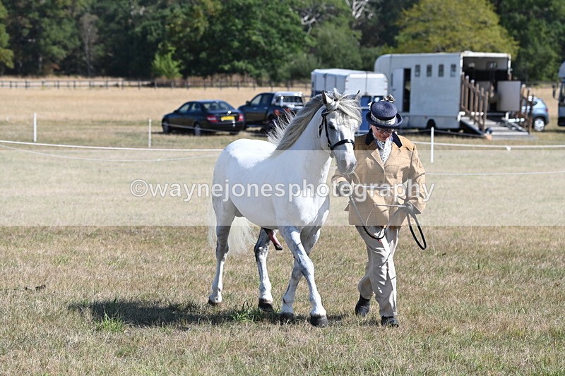 WJ6_4637 - Class 17 Mountain & Moorland