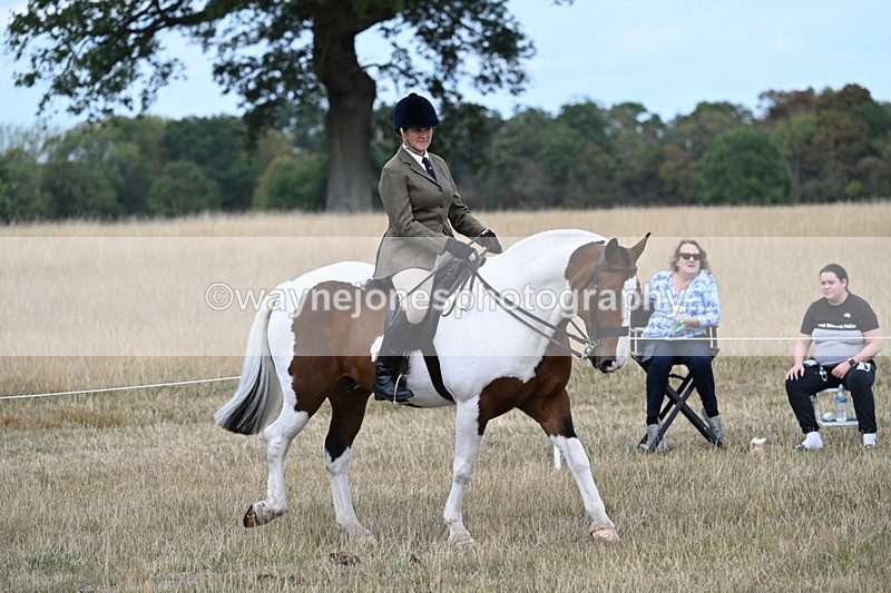 WJ7_5399 - Class 12 Ridden Cob
