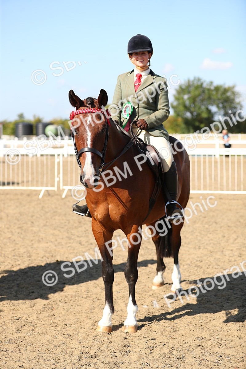 SBM_02389 - Class 43 Ridden Competition Horse/Pony