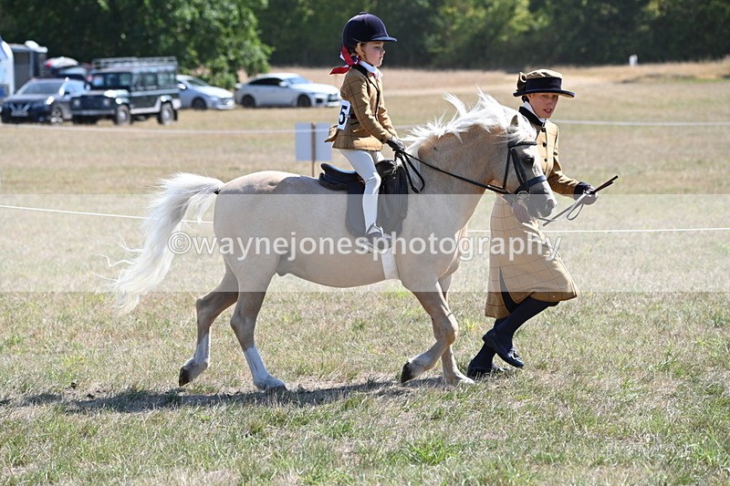 WJ6_7747 - Class 36 Lead Rein