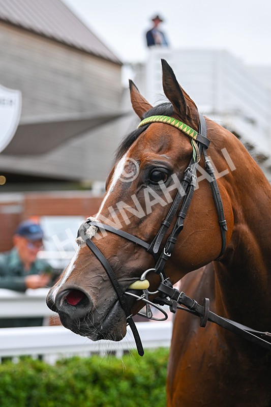 180825-Race 5-Another Baar-9080 - Race 5