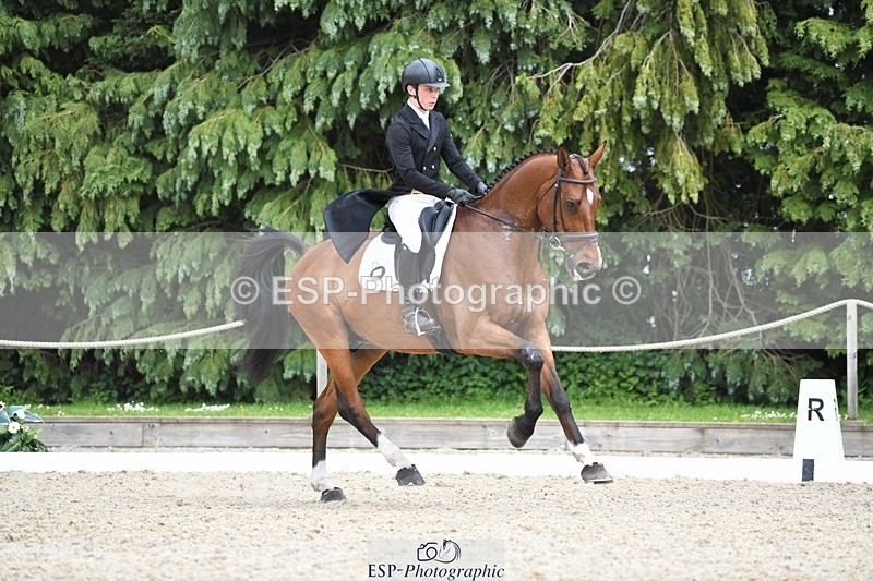 230525-141033-03103 - 318-JUST_HAVE_FAITH_TN-Alfie_Marshall-WEDTrotUp+DR