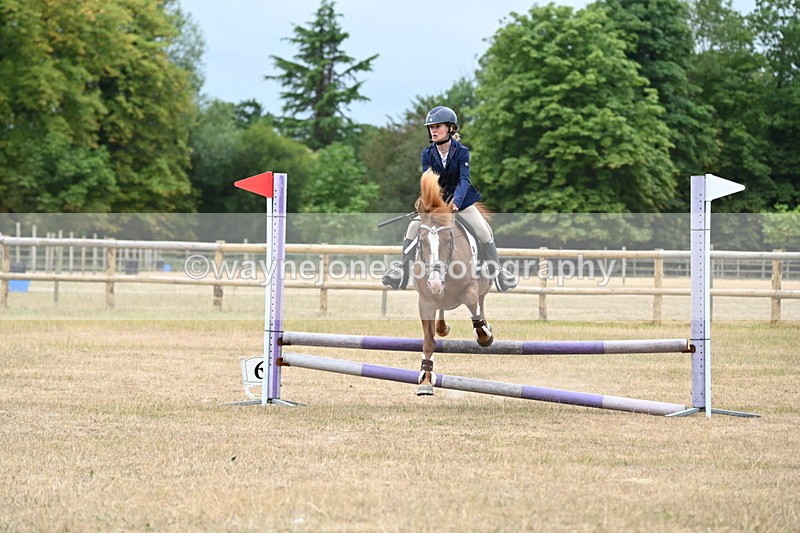 WJ6_0395 - Class 13 Novice Jumping 60cm