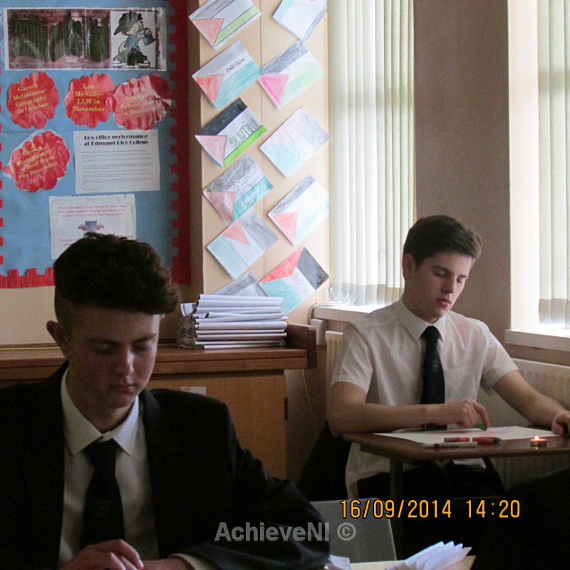  - Peer Mentoring 2014