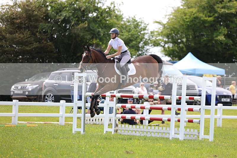 3E7A1418 - Class 12: Senior Foxhunter/1.20 open