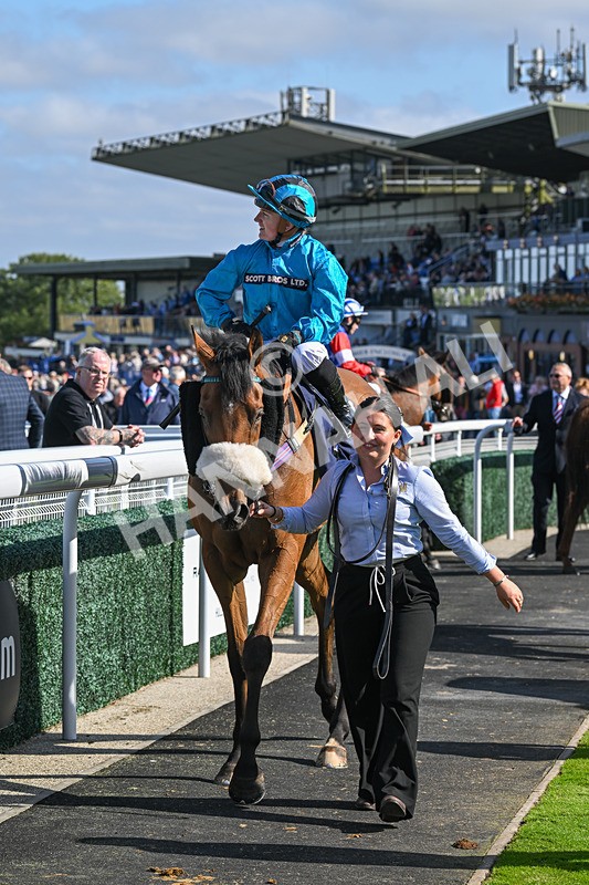 180924-Race 1-Tees George-3744 - Race 1