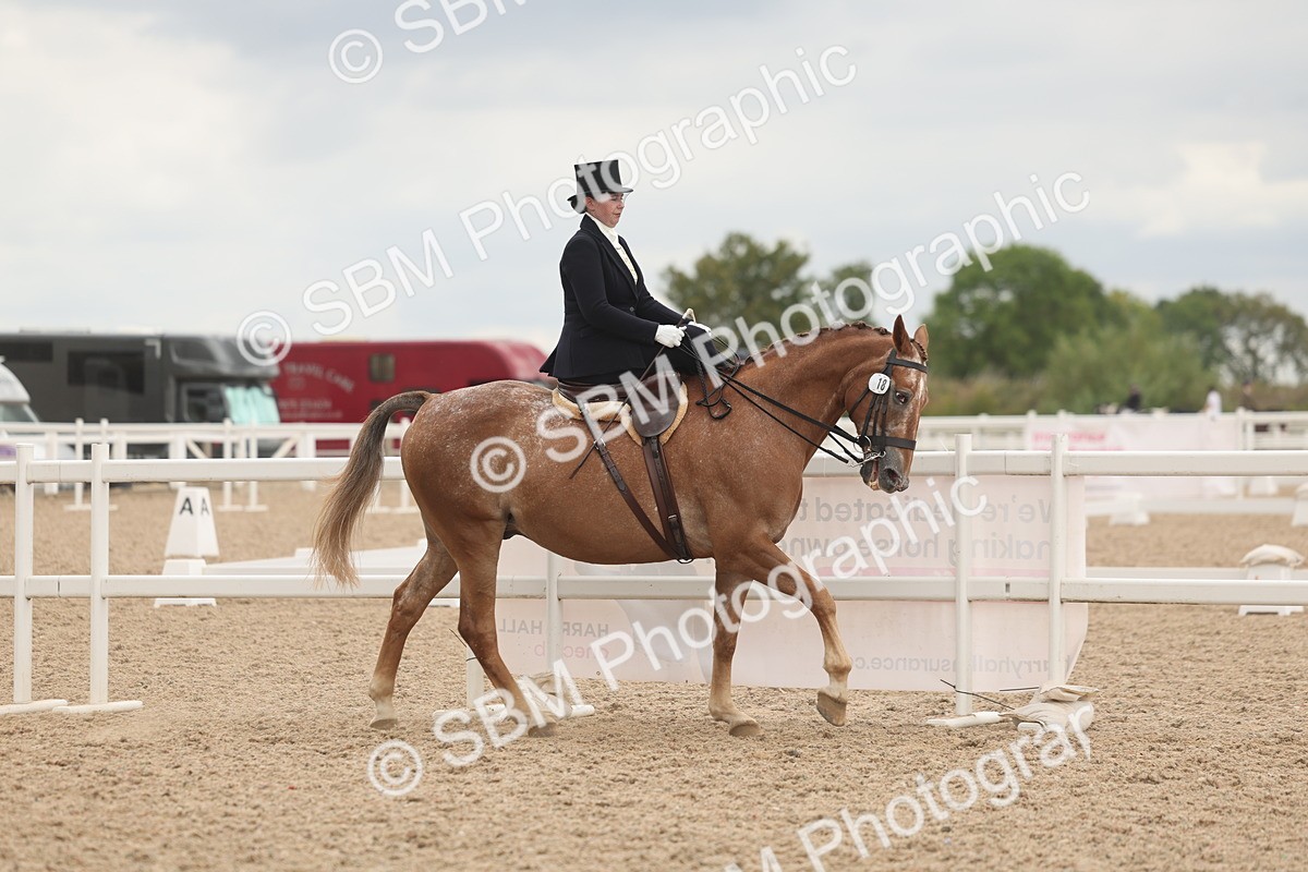 SBM_06412 - Class 23 - SSA - Classical