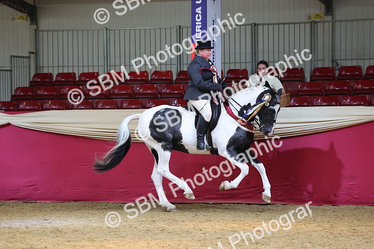 SBM_23844 - Class 904 - Supreme Final Ridden Diamond