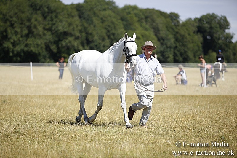 _C7A9775 - BVRC Sow 2018 Ring 2