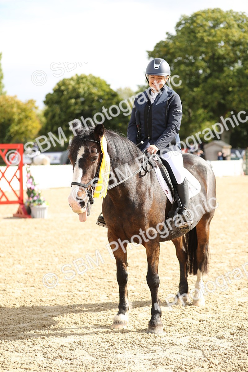 SBM_02054 - J34 - Veteran Rider 50cm