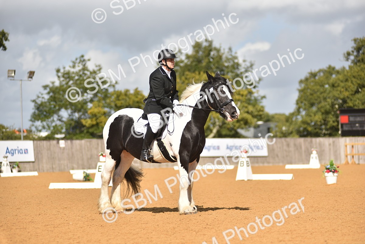 SBM_03152 - D4 - Small Tour Championship Intro 4