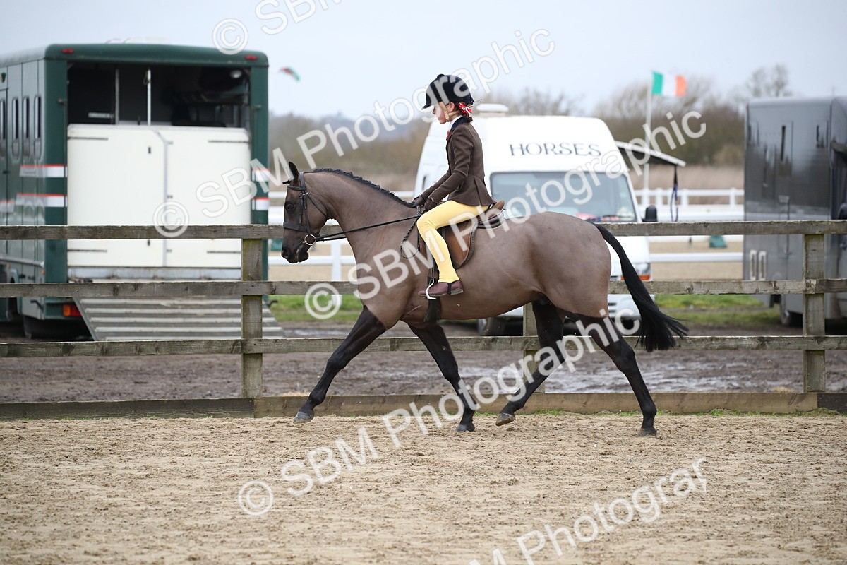 SBM_004608 - Class 5-9 - NPS In Hand-Show Hunter-Intermediate Ridden Inc Ridden Championship