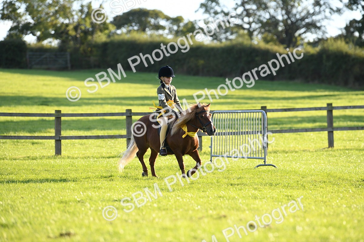 SBM_54191 - S23 - 1st Ridden Mountain & Moorland Pony