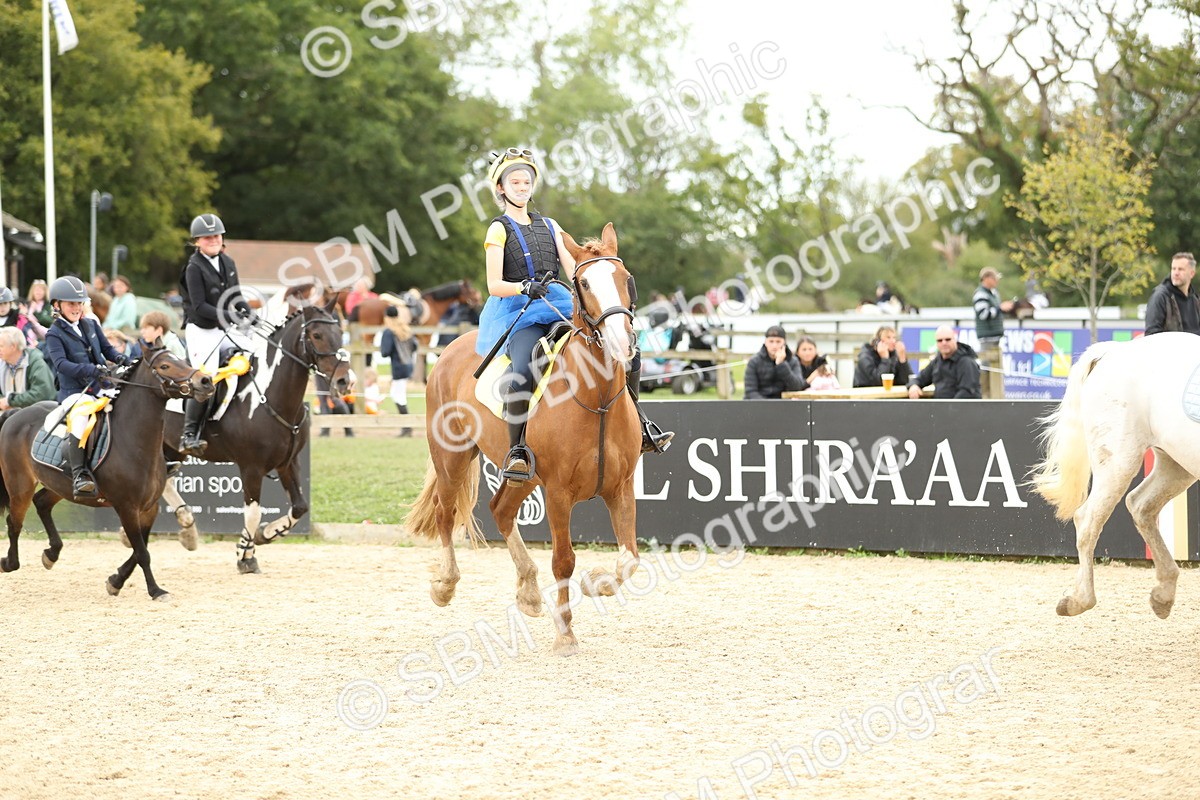 SBM_66105 - J48 - Pairs Jumping Open 70cm & 85cm