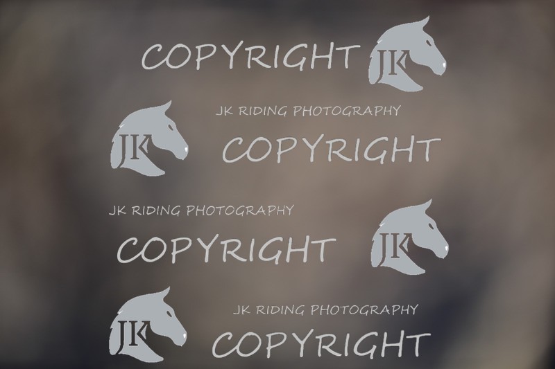 SBP_0803 - 10am - 11am