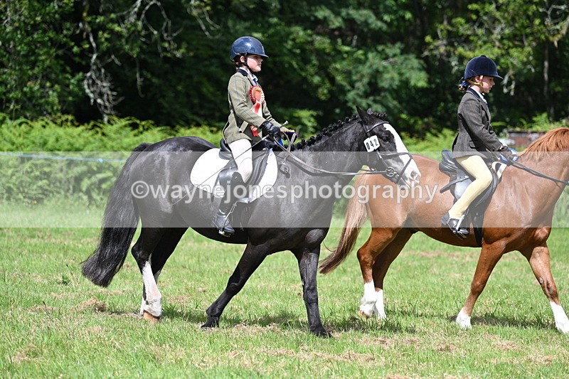 WJ7_1882 - Class 9 Pony Club Pony