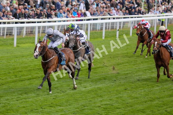 yr12052022r5-15 - Race 5 4.10pm British Stallion Studs EBF Westow Stakes