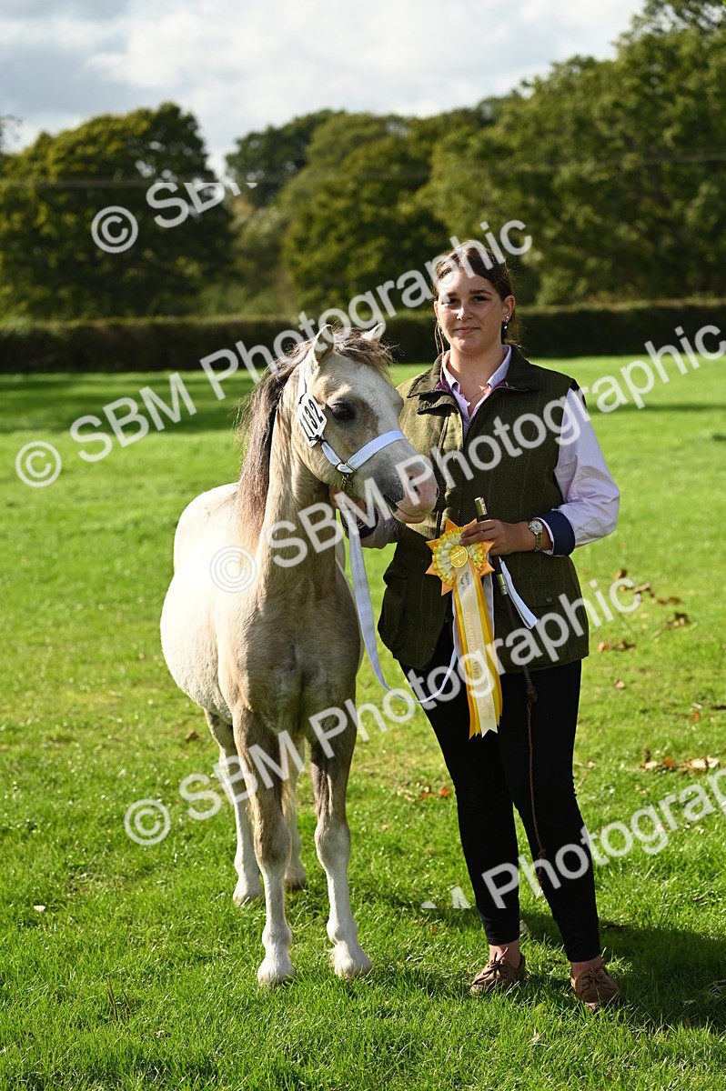 SBM_25058 - S5 - Novice & Newcomer In hand