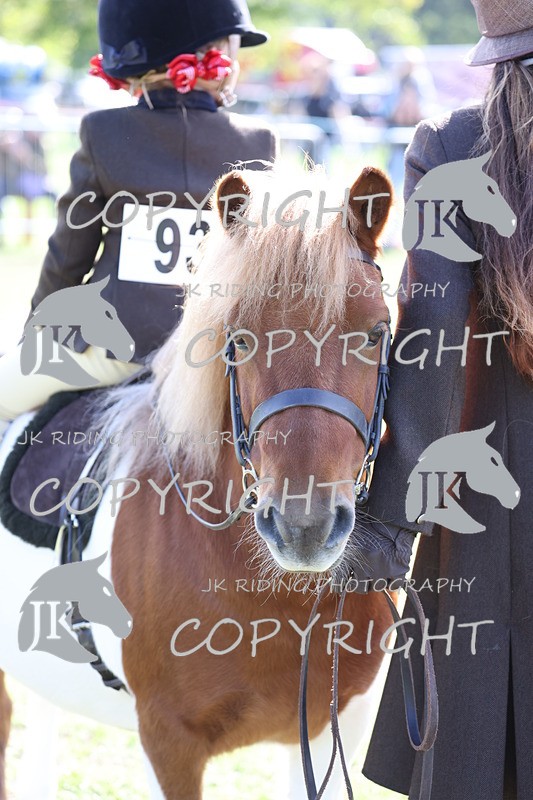 APP_3909 - Class 13 Lead rein