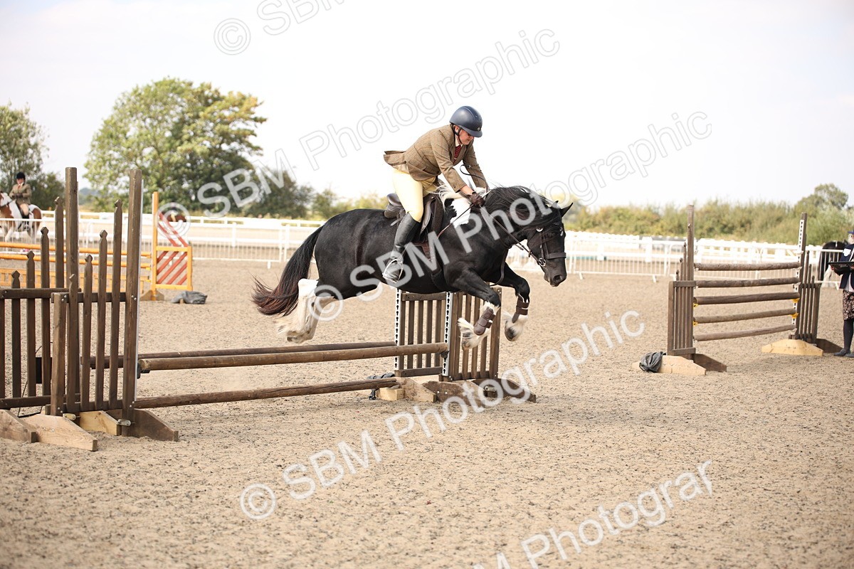 SBM_14223 - Class 407a - Working Veteran 60cm (15-19