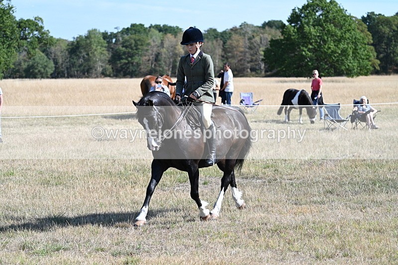WJ7_3684 - Class 9 Mountain & Moorland Ridden
