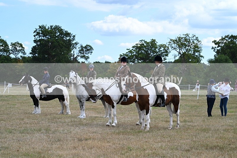 WJ7_5495 - Class 12 Ridden Cob