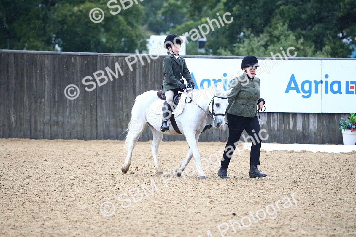 SBM_34611 - D26 - Starters Lead Rein