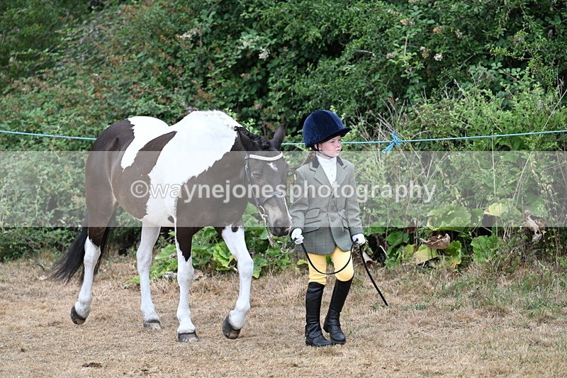 WJ7_9439 - Class 5 Most Handsome Gelding (up to 14.2hh)