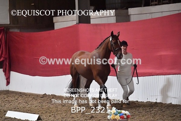 BPP_2321 - AFTERNOON 12.30 - 3.30PM