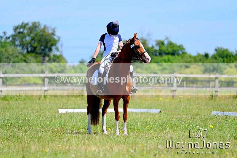 WJ7_1491-001 - Edited examples