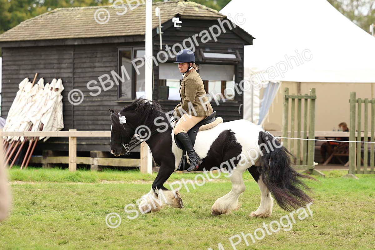 SBM_64614 - S58 - Coloured Pony Ridden